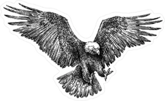 Engraved Style Eagle Sticker Die Cut Vinyl Decal