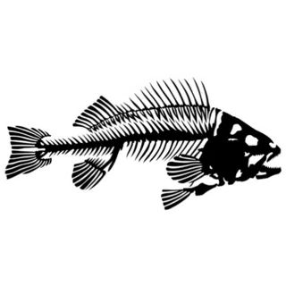 Fish Skeleton Sticker Die Cut Vinyl Decal