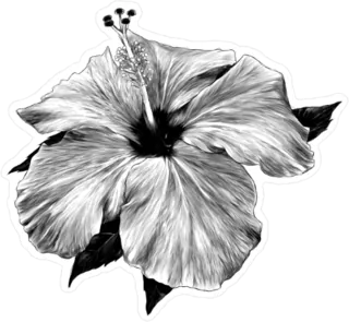 Hibiscus Sticker Die Cut Vinyl Decal