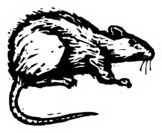 Illustration Of A Rat Sticker Die Cut Vinyl Decal