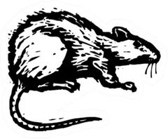 Illustration Of A Rat Sticker Die Cut Vinyl Decal