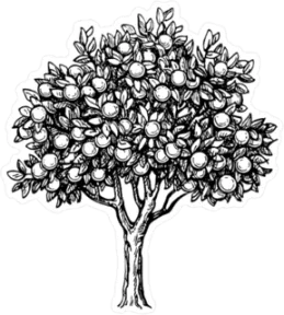 Orange Tree Illustration Sticker Die Cut Vinyl Decal