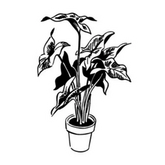Black And White Plant In Pot Sticker Die Cut Vinyl Decal