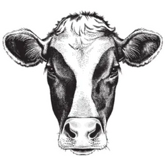 ketch of a Friesian Cows Face Sticker Die Cut Vinyl Decal
