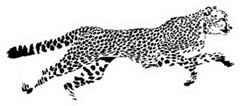 Sketch Of Running Cheetah Sticker Die Cut Vinyl Decal