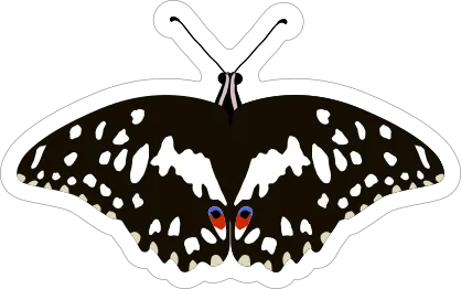Spoted Butterfly Sticker Die Cut Vinyl Decal