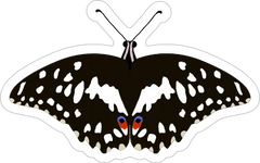 Spoted Butterfly Sticker Die Cut Vinyl Decal