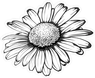 Stemless Daisy Flower Sticker Die Cut Vinyl Decal