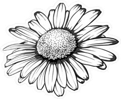 Stemless Daisy Flower Sticker Die Cut Vinyl Decal
