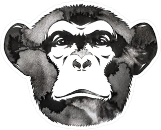 Water And Ink Monkey Sticker Die Cut Vinyl Decal