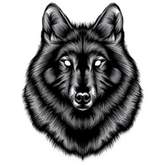 Wolf Illustration Sticker Die Cut Vinyl Decal