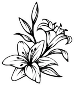 Contour Of Lily Flowers Sticker Die Cut Vinyl Decal