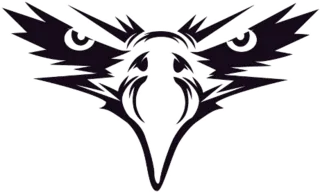Black Eagle Face Sticker Die Cut Vinyl Decal