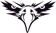 Black Eagle Face Sticker Die Cut Vinyl Decal