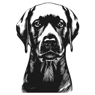 Black Lab Hand Drawn Sticker Die Cut Vinyl Decal