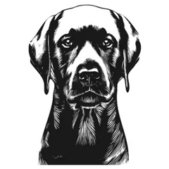 Black Lab Hand Drawn Sticker Die Cut Vinyl Decal