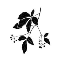 Silhouette Of Virginia Creeper Illustration Sticker Die Cut Vinyl Decal