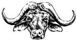Buffalo Head Black Illustration Sticker Die Cut Vinyl Decal