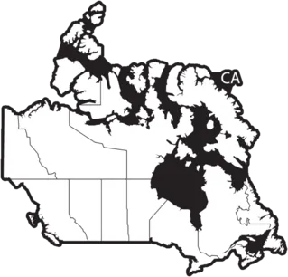 Canada Map Black Country Illustration Sticker Die Cut Vinyl Decal