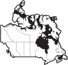 Canada Map Black Country Illustration Sticker Die Cut Vinyl Decal