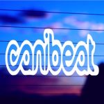 canibeat-jdm-vinyl-die-cut-decal