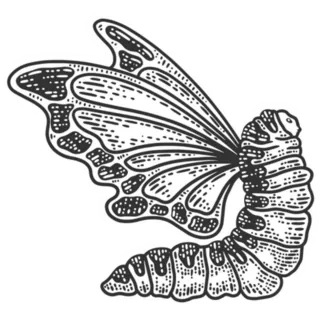 Caterpillar With Butterfly Wings Sketch Engraving Sticker Die Cut Vinyl Decal