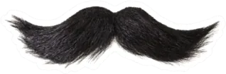 Curly Black Mustache Isolated On White Sticker Die Cut Vinyl Decal
