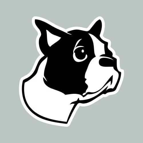 Cute Boston Terrier  Die Cut Vinyl Decal