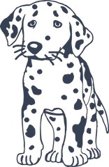 Dalmation Dog Sticker Die Cut Vinyl Decal