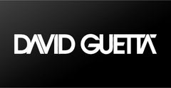 david-guetta-edm-dj-vinyl-sticker-truck-smooth-surface