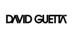 david-guetta-vinyl-decal-waterproof-outdoor