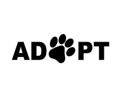 dog-life-paw-cute-family-vinyl-sticker-applied-on-car-window-and-laptop