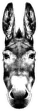 Donkey Head Black And White Sketch Sticker Die Cut Vinyl Decal