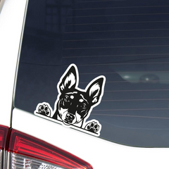 Toy Fox Terrier Car Decal Die Cut Vinyl Decal