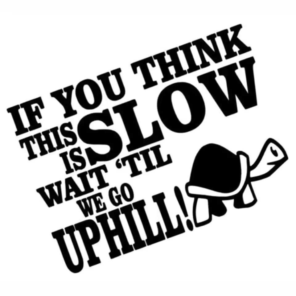 Funny Tortoise Sticker IF YOU THINK THIS IS SLOW WAIT   Die Cut Vinyl Decal