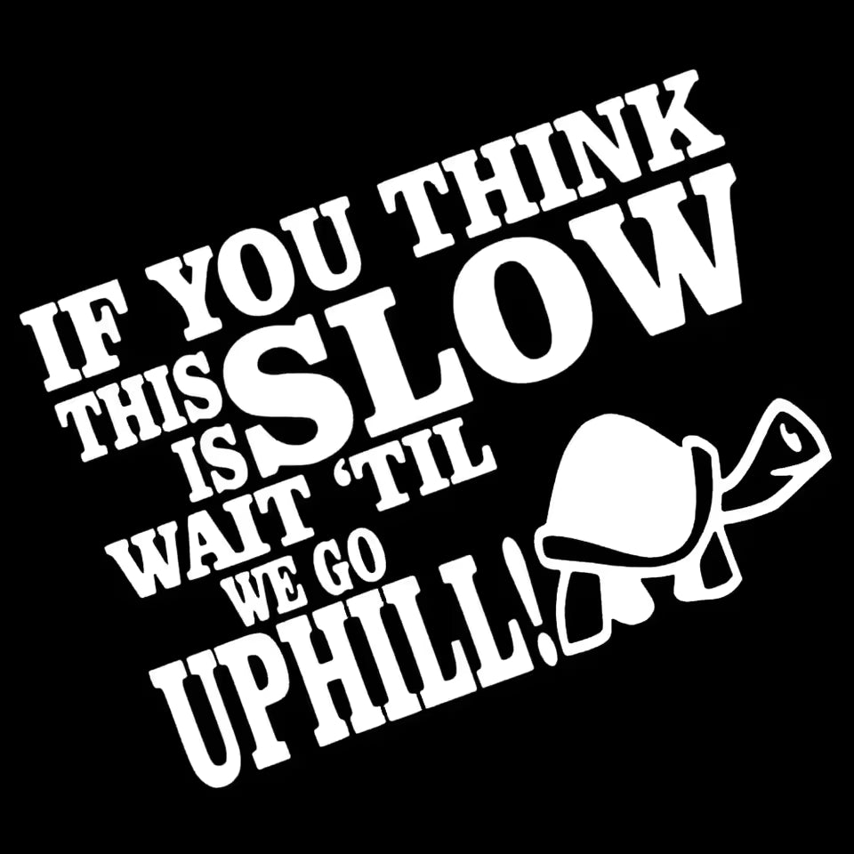 Funny Tortoise Sticker IF YOU THINK THIS IS SLOW WAIT   Die Cut Vinyl Decal