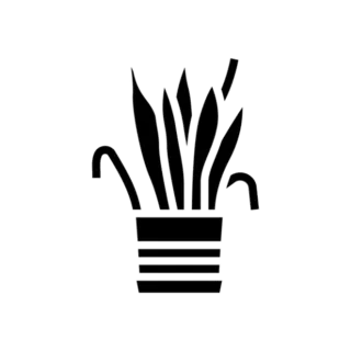 Drying House Plant Transfer Sticker Die Cut Vinyl Decal