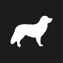 duck‑tolling‑retriever‑vinyl‑sticker white die cut decal for vehicle windows laptops