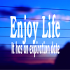 enjoy-life-vinyl-decal-on-car-window-bumper