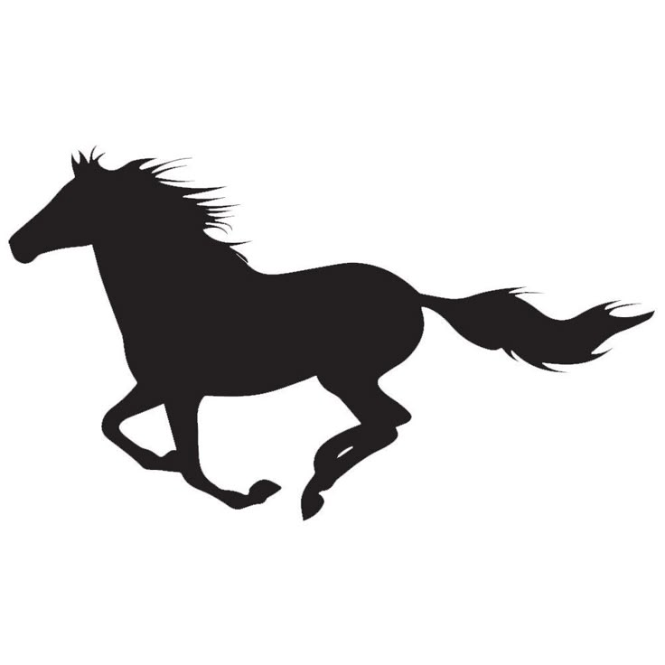 Black Vinyl Die Cut Vinyl Decal