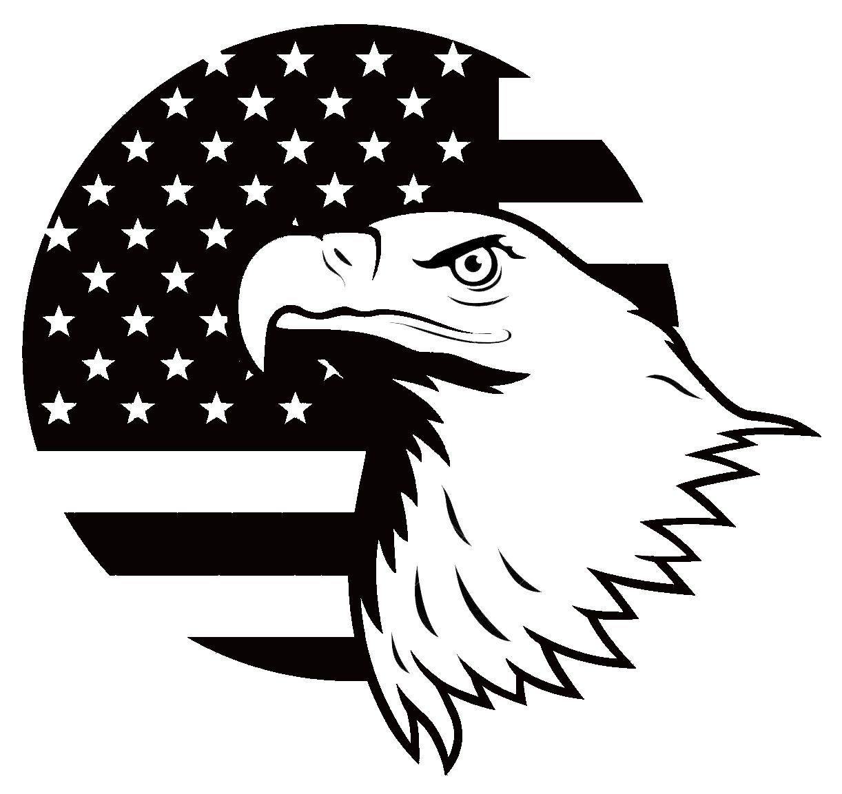 American Patriotic Eagle Die Cut Vinyl Decal