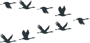 Flock Of Cranes Or Stork Black Silhouette In Flying Sticker Die Cut Vinyl Decal