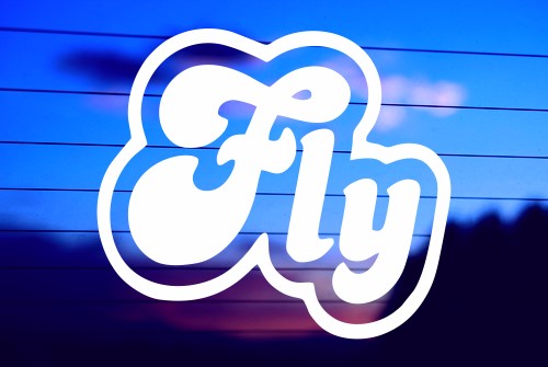 fly jdm vinyl decal displayed on car window
