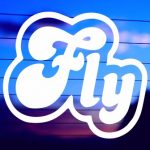 close up of fly jdm vinyl die cut sticker