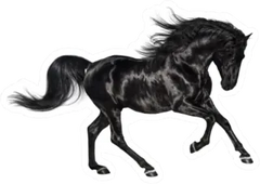 Galloping Shiny Black Andalusian Stallion Sticker Die Cut Vinyl Decal
