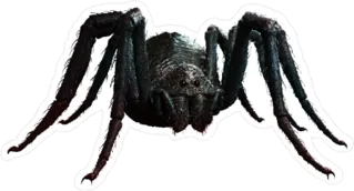 Giant Realistic Black Spider Sticker Die Cut Vinyl Decal