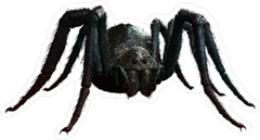Giant Realistic Black Spider Sticker Die Cut Vinyl Decal