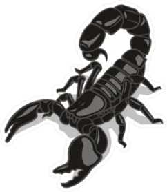 Glossy Black Scorpion Sticker Die Cut Vinyl Decal