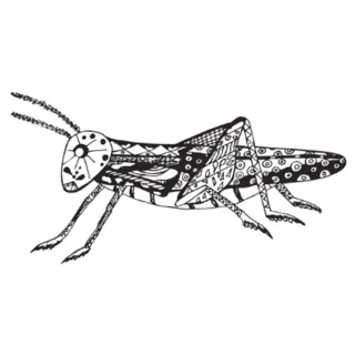Grasshopper, Black And White With Patterns Sticker Die Cut Vinyl Decal