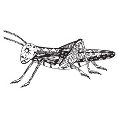 Grasshopper, Black And White With Patterns Sticker Die Cut Vinyl Decal